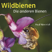 Coverausschnitt  Verlag Dr. Friedrich Pfeil